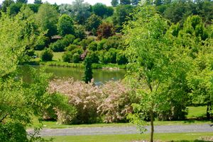 수목원 및 식물원 산책로와 연못의 모습