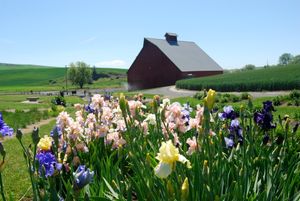 수목원 남쪽 구역의 모습, "Red Barn" 조망