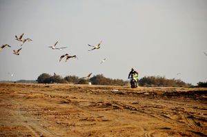 해변의 모토크로스