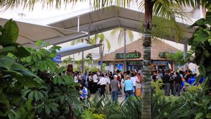 에어 마가리타빌(Air Margaritaville) 바 스탠드, 터미널 3 지상 교통 시설