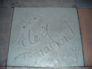 월트 디즈니 월드의 디즈니 할리우드 스튜디오 테마 파크에 있는 더 그레이트 무비 라이드 앞에 있는 다이아몬드의 핸드프린트