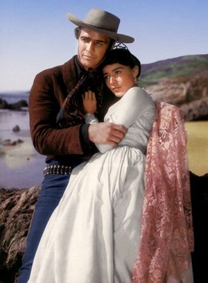 브란도와 펠리서