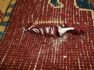 맨체스터 공항에서 압수된, 카펫에 숨겨진 헤로인 (2012년)