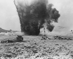 실탄을 사용한 훈련의 모습