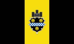 피츠버그 시장 당선