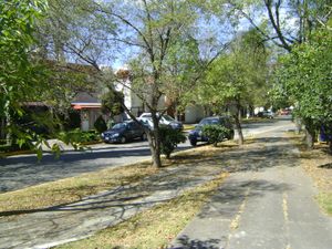 시우다드 사텔리테의 중산층 콜로니아