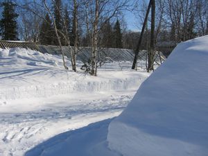 키로프스크에 있는 극지 알프스 식물원 (Полярно-альпийский ботанический сад-институт)