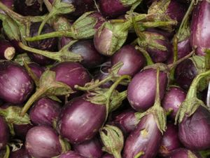 돌말륵 파틀르잔}})은 돌마스에 특별히 사용되는 작은 가지의 변종이다.