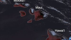 위성에서 촬영한 마우이섬과 주변 섬들의 루프 이미지로, 화재 발생을 나타내는 짙은 붉은색 펄스가 나타나는 8월 8일 화재의 위성 적외선 이미지 루프