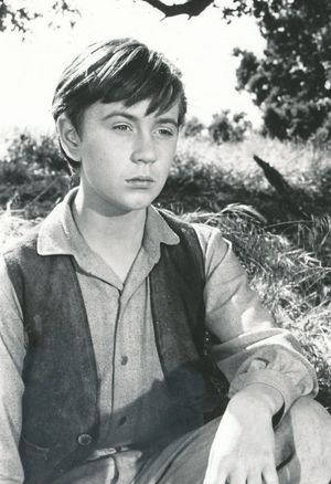 커크가 올드 옐러(1957)를 위해 찍은 사진
