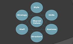 맥킨지의 7S 모형