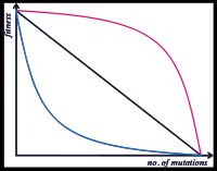 돌연변이와 적응도 사이의 상관 그래프. 긍정적 상위성(청색)과 부정적 상위성(적색)을 볼 수 있다.