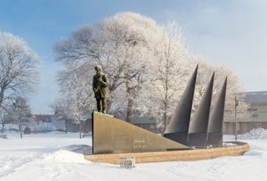 멍크턴의 보어 공원, 한겨울 아침의 쌀쌀한 날씨에 맺힌 서리. 1월 평균 최저 기온은 약 영하 13°C