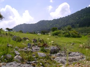 케레타로 주변 지역은 들판, 스텝 및 언덕으로 가득합니다.