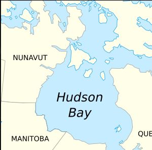 허드슨 만 크리족은 다양한 식물의 달인을 약용으로 사용했다.