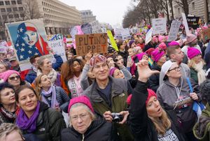 2016년 페어리의 포스터, 2017 여성 행진에서 전시