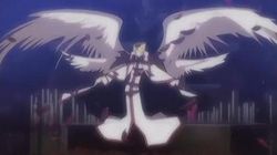 크루스니크 형태의 크루스니크 01, 카인