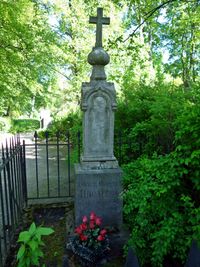 2017년 드미트리 피사레프의 볼코보 묘지 묘소