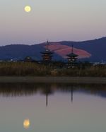 나라시니시노쿄・오이케