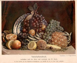 3색 프로세스를 사용하여 인쇄된 최초의 널리 복제된 이미지, 윌리엄 커츠 (1893년 1월)