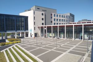 얀 코하노프스키 대학교