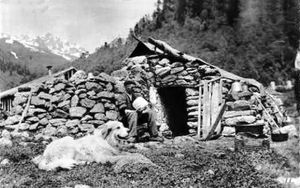 20세기 초의 피레니언 마운틴 도그