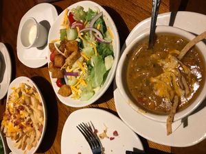 아웃백 메뉴 항목의 예시: 상단부터 호주 치즈 프라이, 하우스 샐러드, 치킨 토르티야 수프