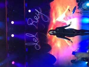 2017년 Flow Festival에서 공연하는 델 레이