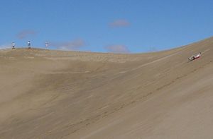 메스킷 플랫 사구에서 스타 듄을 미끄러져 내려가는 관광객