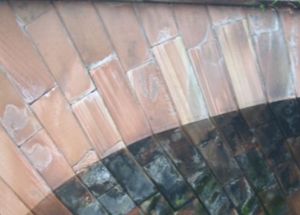 기술의 근접 촬영