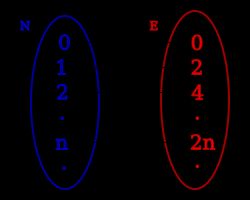자연수 집합 N에서 짝수의 집합 E로의 전단사 함수 예시. E는 N의 진부분집합이지만, 두 집합은 같은 크기를 가진다.