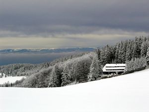 쇼인스란트의 겨울. 배경은 보주산맥.