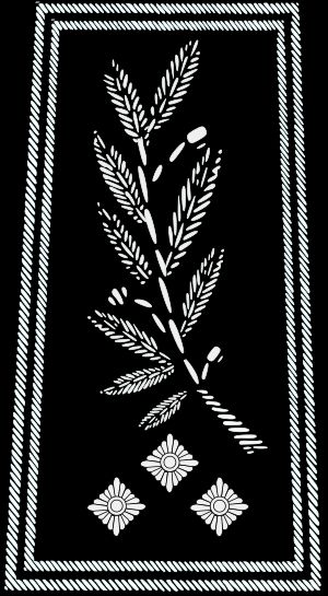 경찰 감찰관 (프랑스)의 견장