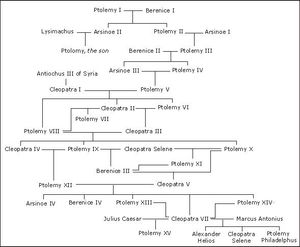 프톨레마이오스 왕조의 가계도. 근친 간의 많은 결혼으로 인해 족보 붕괴가 발생한 예시이다.
