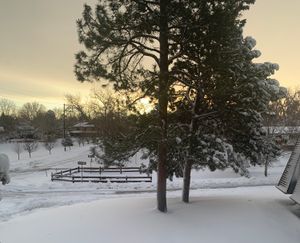 2021년 3월 리틀턴(콜로라도)의 눈