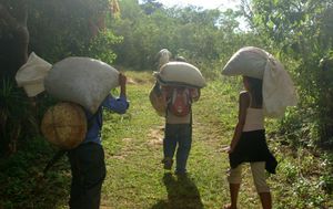 커피 산업은 세계적인 산업이다.