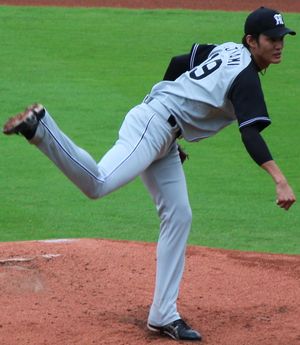 2016년 한신 타이거스 시절의 후지나미