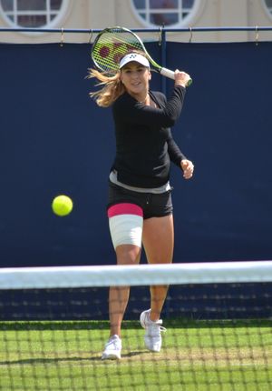 2016 이스트본 인터내셔널의 벤치치