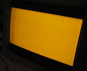 호박색 CRT 컴퓨터 모니터에 나타난 번인 현상. 스프레드시트 프로그램과 ASCII 아트 환영 화면의 두 가지 번인 이미지가 있다.