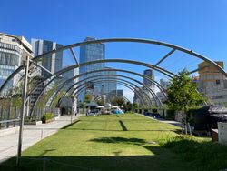 Buddies의 뮤직 비디오가 촬영된 MIYASHITA PARK 3층의 미야시타 공원