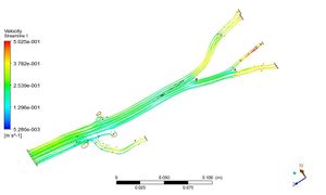 인간 대동맥의 혈류 시뮬레이션