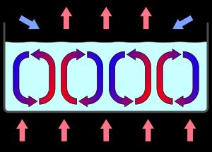 중력장 내에서 나타나는 대류 세포는 자기 조직화의 한 예시이다.