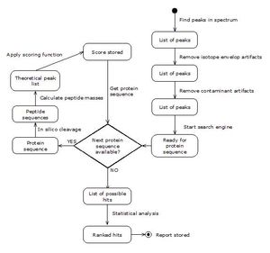 펩타이드 이온 질량 매핑 검색 프로세스의 상태 다이어그램