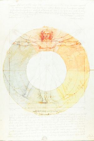 레오나르도 다 빈치의 비트루비우스적 인간 위에 아도브 포토샵(Adobe Photoshop)에서 스크린 레이어를 사용하여 괴테의 색상환을 겹쳐 놓았다. 스크린 레이어는 그래픽 디자인과 사진에서 다중 노출을 만드는 데 유용하다.