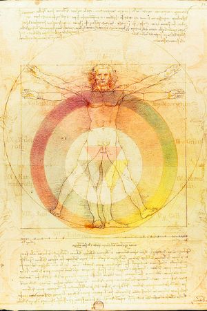 레오나르도 다 빈치의 비트루비우스적 인간 위에 모세 해리스(Moses Harris)의 색상환의 소프트 라이트 레이어와 이그나츠 쉬퍼뮬러(Ignaz Schiffermüller)의 색상환의 소프트 라이트 레이어를 겹쳐 놓았다. 소프트 라이트 레이어는 스크린 레이어보다 더 어둡고 반투명한 느낌을 준다.