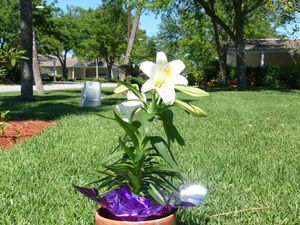 자르기 전 이미지