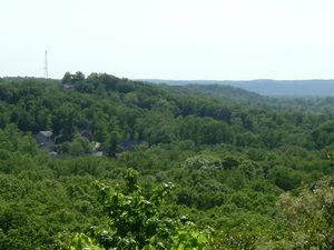 도시 남서부를 덮고 있는 언덕 지형.