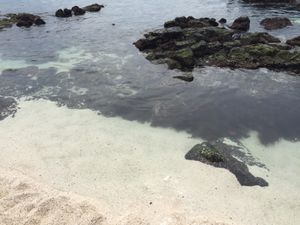 우도 산호해수욕장 서빈백사