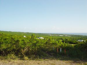찰스타운 남서쪽 해안 평야에서 바라본 모습