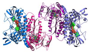 중서부 구조 유전체학 센터가 결정한 단백질 구조의 예시